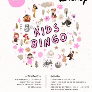 Disney kids bingo 🏰 in de kids klub
